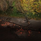 Kerstboombranden Noordwijk